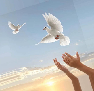 Встреча, посвященная Дню солидарности в борьбе с терроризмом