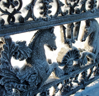 Фотовыставка «Петербургский персонаж»