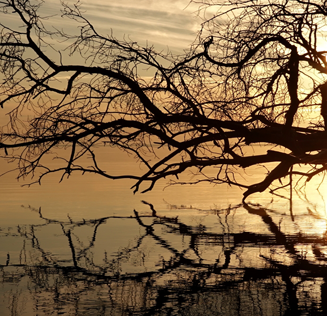 Выставка фотографий Тимура Егорова «Порою на пустых брегах …»